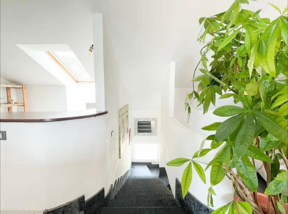 Mansarda Vista Mare A Zinola Apartman Savona Kültér fotó