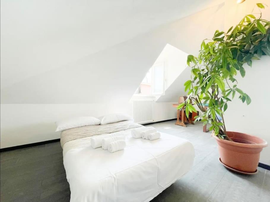 Mansarda Vista Mare A Zinola Apartman Savona Kültér fotó